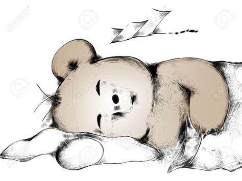 Sleeping Bear Drawing At Getdrawings Free Download