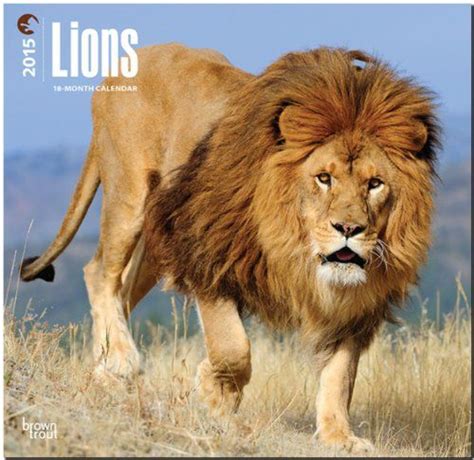 90 Lion Names And Meanings Lion Cat Calendar Animals