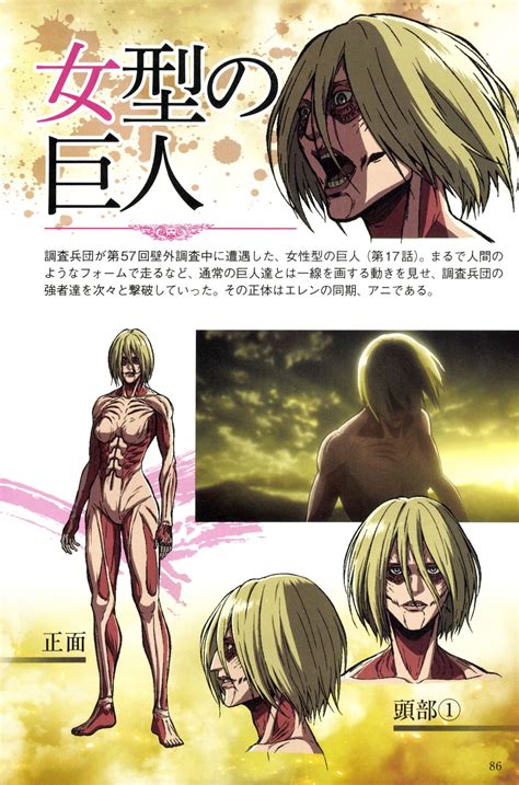 Female Titan Attack On Titan Image 3295120 Zerochan Anime Image
