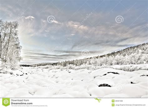 Frozen Lake In Inari Finland Royalty Free Stock Images