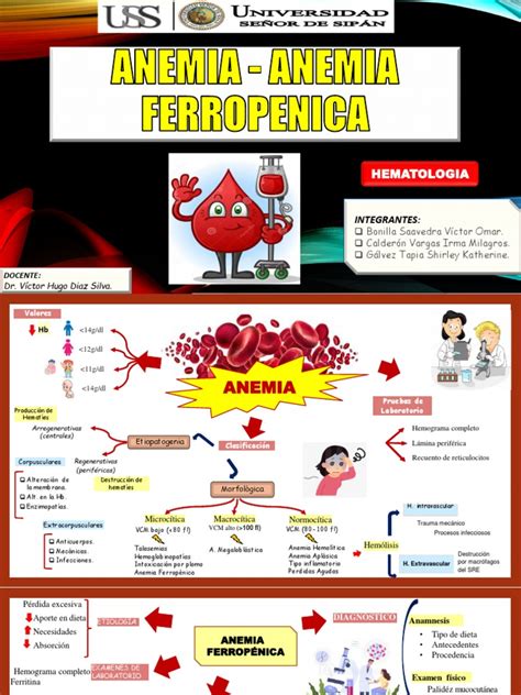 Organizador Visual Anemia Y Anemia Ferropenica Pdf Anemia