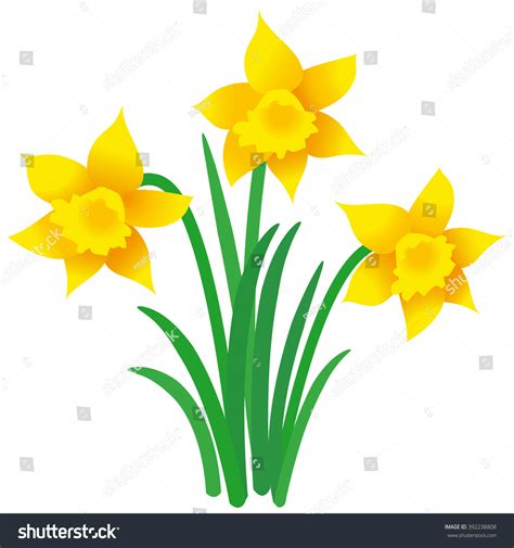 3238 Imágenes De Daffodil Cartoon Imágenes Fotos Y Vectores De
