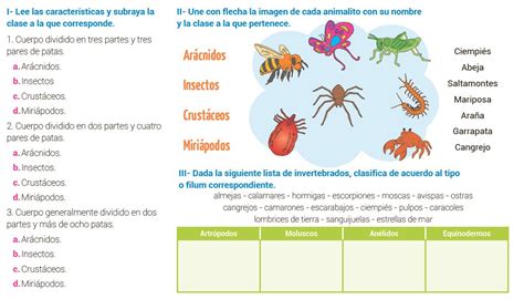 ¿conoces A Estos Animalitos Invertebrados Escolar Abc Color