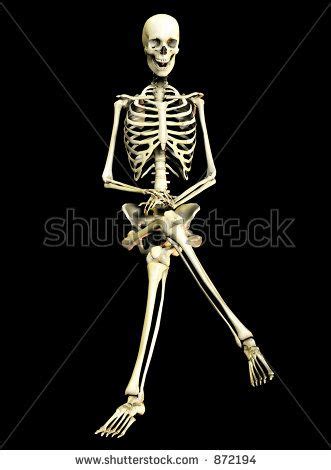 Sitting Skeleton Posed Skeletons Halloweendecorations