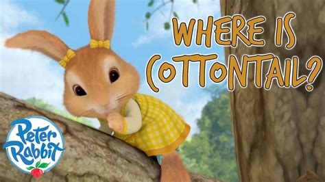 Officialpeterrabbit Where Has Cottontail Gone 👀 🐰 Lost And Found