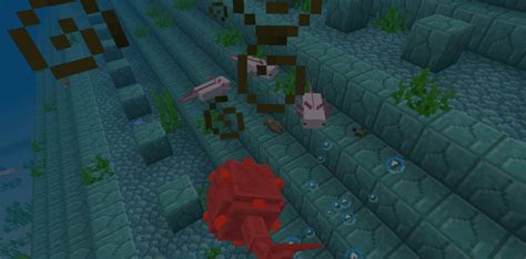 The minecraft axolotl belongs to the neutral mob category meaning they will not attack players on related: Complemento de Axolotls - MineCraft