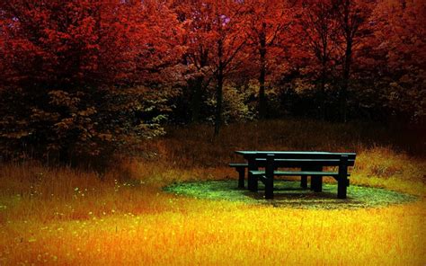 Exotic Autumn Nature Desktop Nature