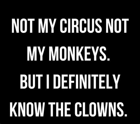Not My Circus Not My Monkeys But I Definitely Know The Clowns