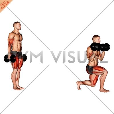 Dumbbell Lunge With Bicep Curl