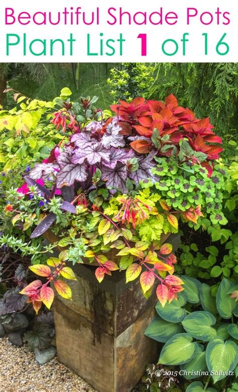 16 Colorful Shade Garden Pots And Plant Lists A Piece Of Rainbow