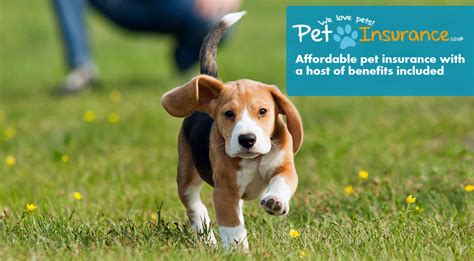 Our roundup of the best pet insurance plans looks at pricing, services, and more to find the right coverage for the dogs, cats, and critters in the pet insurance industry has boomed in recent years, and pet owners have never had more options to choose from. main-page.jpg