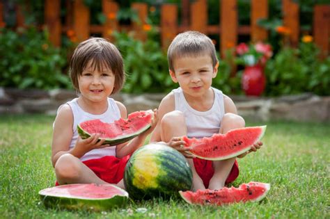 吃西瓜的孩子图片两个小男孩在花园里吃西瓜素材高清图片摄影照片寻图免费打包下载