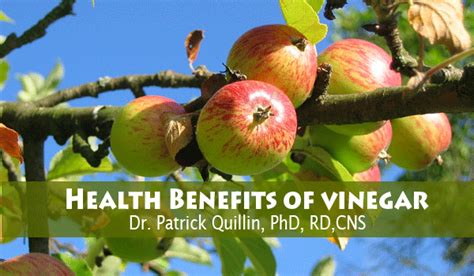 Benefits of Vinegar - Getting Healthier | Healthy Diet ...