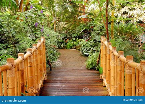 Bamboo Bridge Stock Image Image Of Path Walkway Conservatory 6942115
