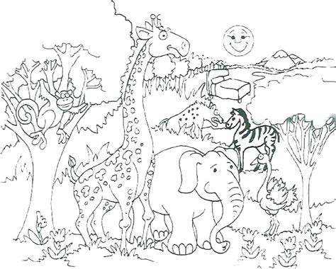 Baby Safari Animals Coloring Pages At