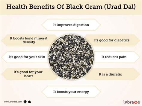 Black Gram Urad Dal Benefits And Its Side Effects Lybrate