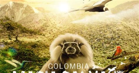 Colombia Magia Salvaje Trailer Tomatazos