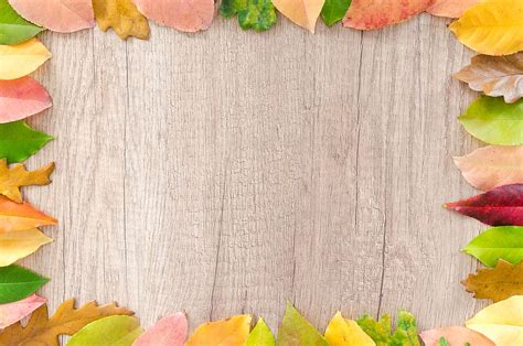 Hd Wallpaper Assorted Leaves Piled On Border Of Brown Wooden Board