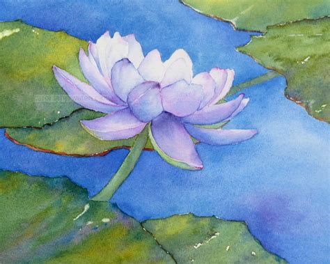 Water Lily Watercolor At Getdrawings Free Download