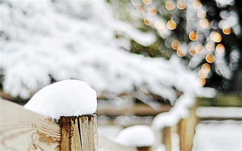 Fence Wood Snow Trees Branches Winter Bokeh Lights Christmas Wallpaper