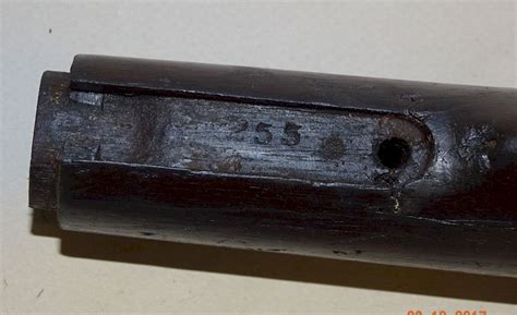 Stock Winchester 1873 Sporting Rifle Long Tang Original Original And