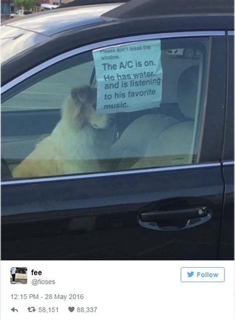 Owner Leaves Dog In Car With Note Asking Not To Break The Window And
