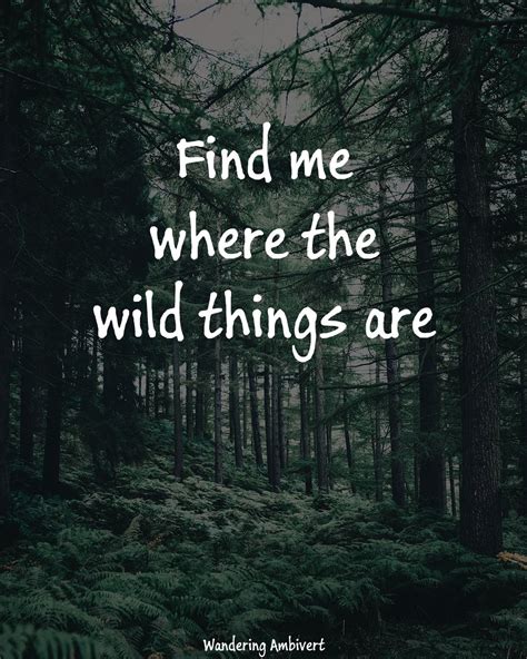 Wild things | Nature travel quotes, Adventure travel, Traveling by yourself