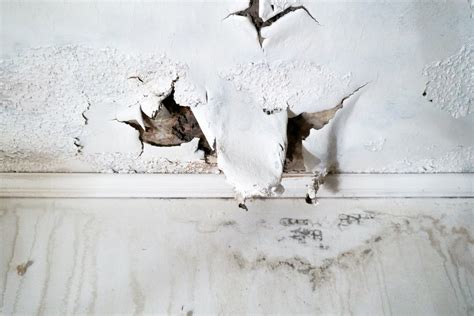 Clean and repair roof gutters regularly. How Long Does It Take Mold to Grow in a Flooded Home ...