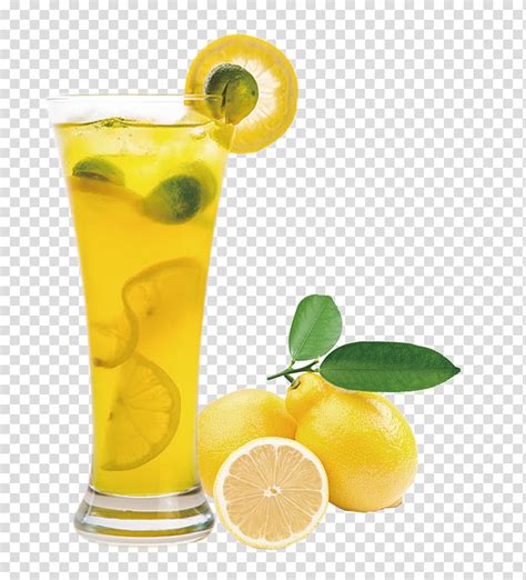 Filled Lemonade Juice Lemon Balm Extract Fruit Lemon Juice