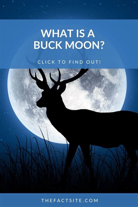 What Is A Buck Moon The Fact Site