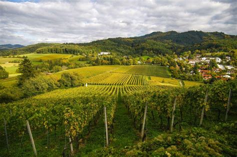Staufen Travel Guide Expert Picks For Your Vacation Fodors Travel