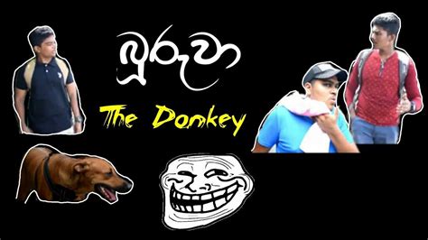 Buruwa බූරුවා The Donkey Youtube