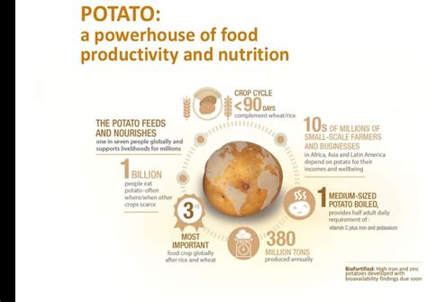 They adapt well to many environments and can be grown outdoors in the garden or in pots and indoors in all types of containers. WHAT MAKES A POTATO GROW EYES? - NPCK