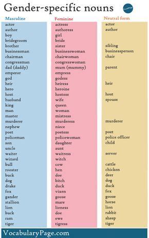 gender specific nouns  images english vocabulary