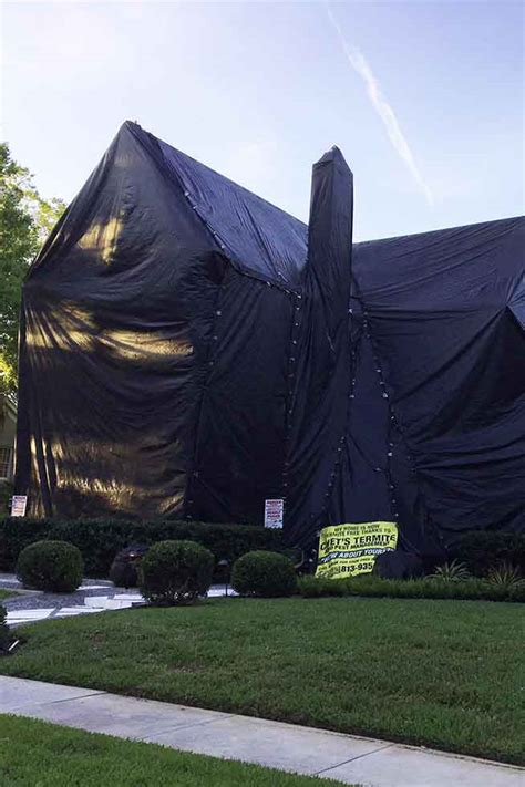 You can feel confident knowing our. Tampa Pest Control, Termite Tenting & Treatment. Guaranteed