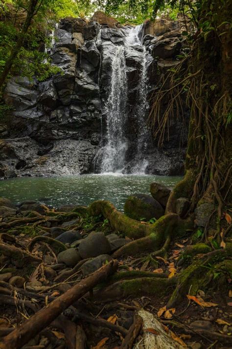 Waterfall Landscape Beautiful Hidden Waterfall In Tropical Rainforest