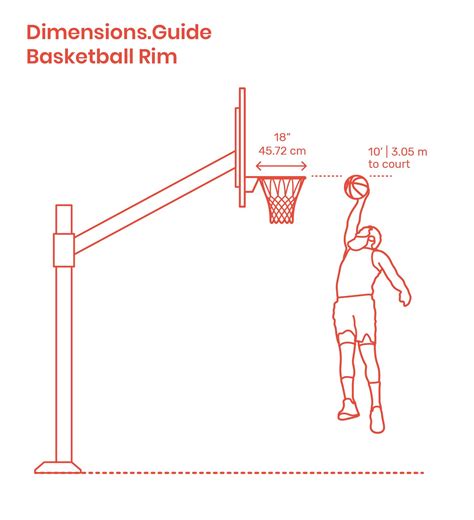 Basketball Rims Nets Dimensions Drawings Dimensions Com Artofit