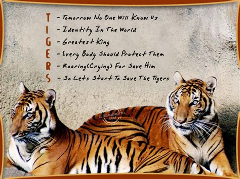 Vector illustration of international tiger day poster design. International Tiger Day 2019: History, Significance, Theme ...