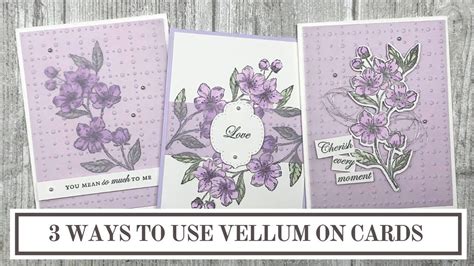 3 Simple Ways To Start Using Vellum In Card Making Youtube In 2020