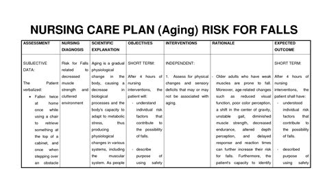 What Should Be In A Care Plan For The Elderly Christiana Meier