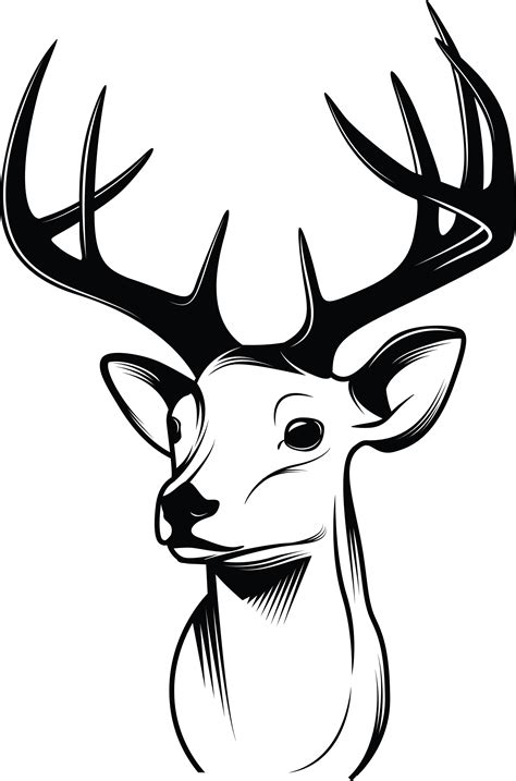 Deer Drawing Sketch Deer Horns Png Download 20913166 Free