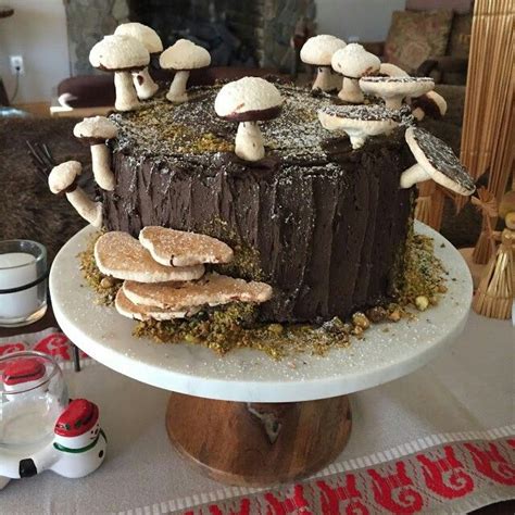 You could use white wine, red wine or vermouth if you don't. Fun mushroom cake! | Cake, Mushroom cake, My dessert