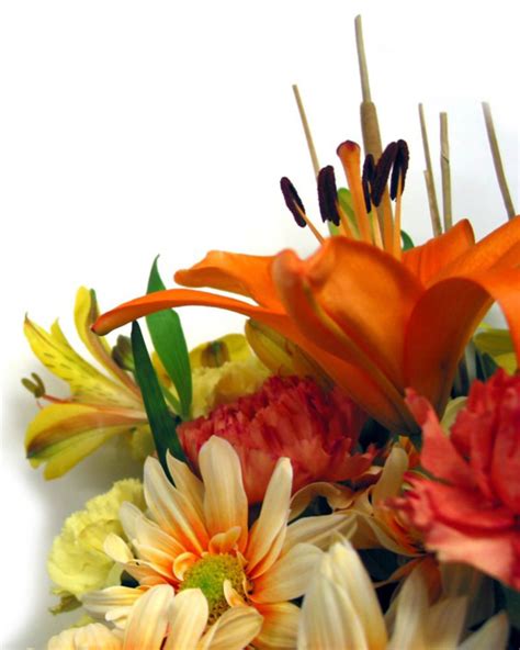 Flowers for Worship | Hope Church