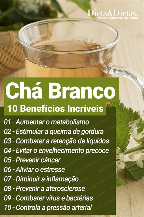 Benefícios do Chá Branco Benefícios do Chá Branco para a sua saúde Chás medicinais Ervas