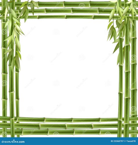 Bamboo Frame Vector Background Stock Vector Illustration Of Asia