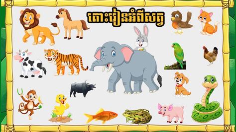 Animals In Khmer Language ឈ្មោះសត្វភាជាភាសាខ្មែរ