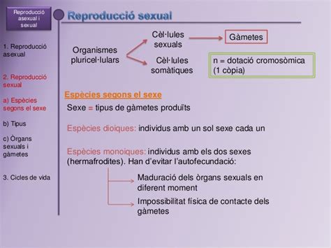 Biologia Pau Genètica I Reproducció Reproducció Sexual I Asexual C