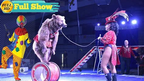 royal circus full show सर्कस शो सिरसा sarkas in sirsa youtube