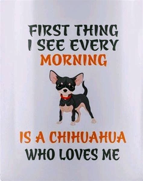 The chihuahua is one of the smallest breeds of dog, and is named after the mexican state of chihuahua. Pin by Sandie Steen on Pets | Chihuahua funny, Chihuahua lover, Chihuahua quotes