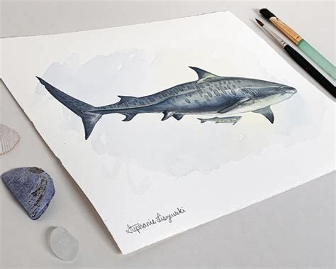 Tiger Shark Original Watercolor Painting 8 X 10 Etsy